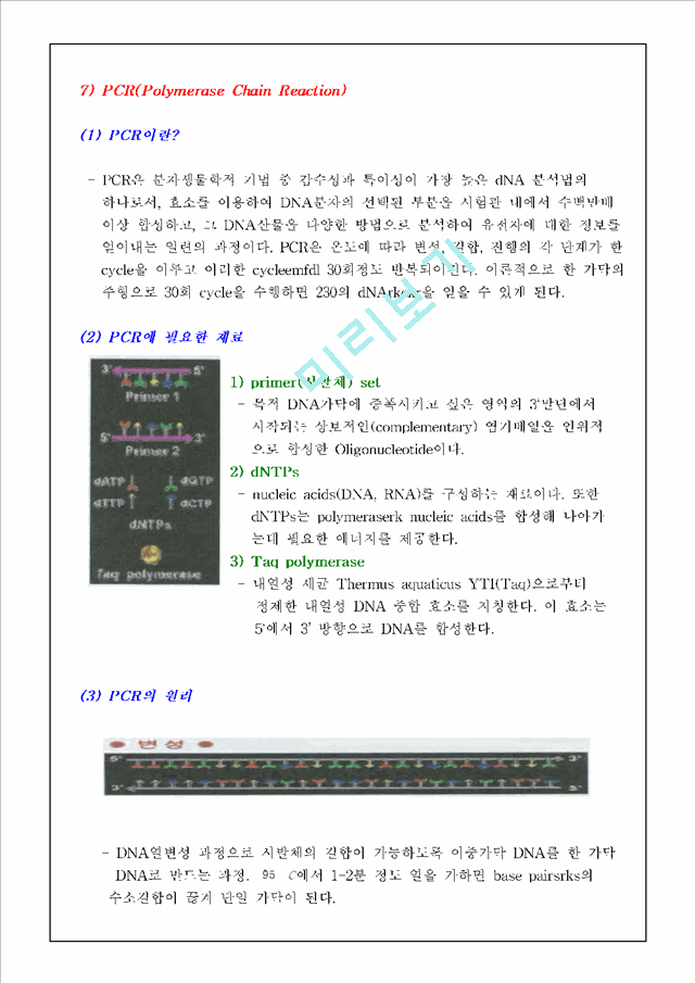 [레포트] [식물생리학]제한효소 DNA 절단과 전기영동법과 PCR에 의한 DNA분리 및 확인.hwp